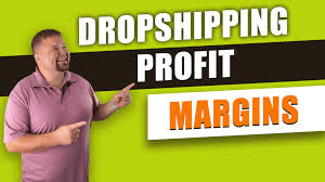 Winning Dropshipping Products How to Balance Profit Margins and Sales Volume