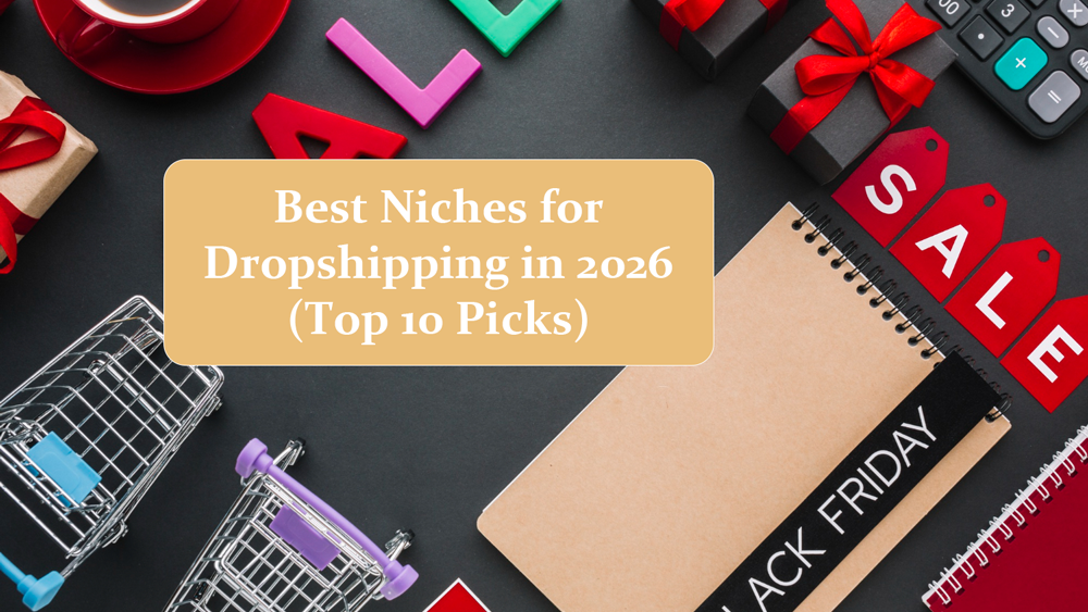 Niche Store or General Store? Which Path Should Beginners Choose in 2026